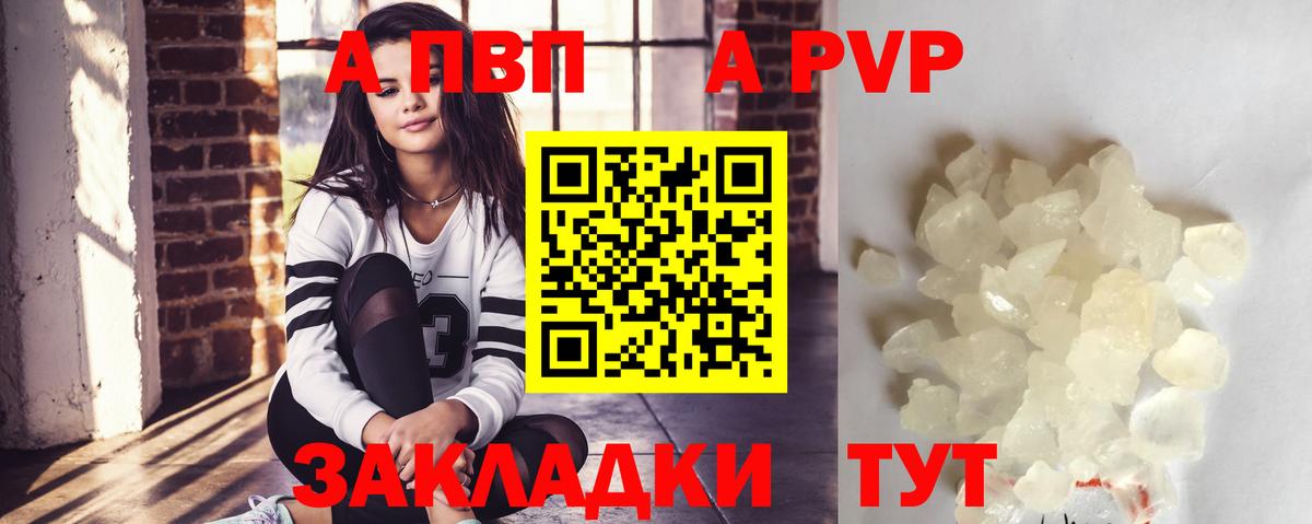 APVP СК КРИС Алейск