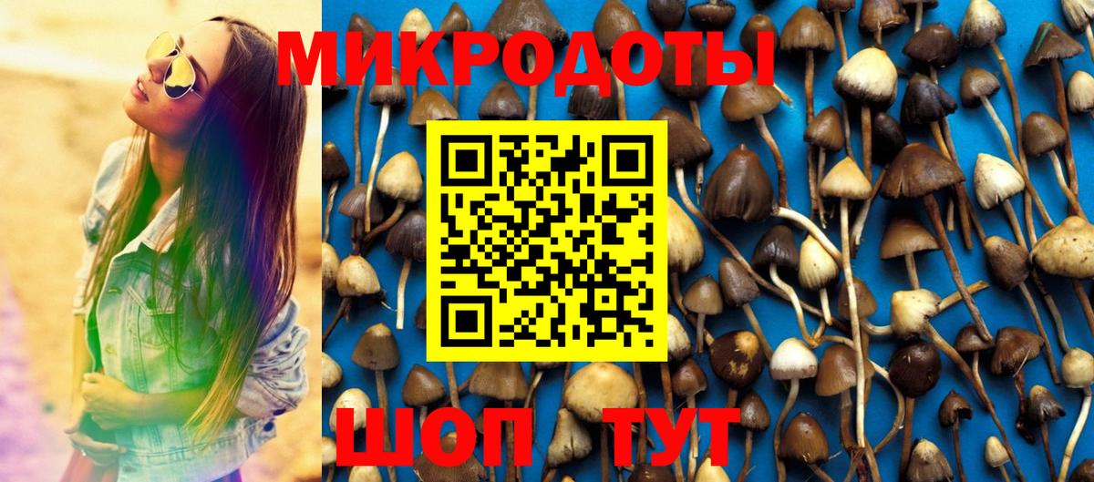 Галлюциногенные грибы Psilocybine cubensis Алейск